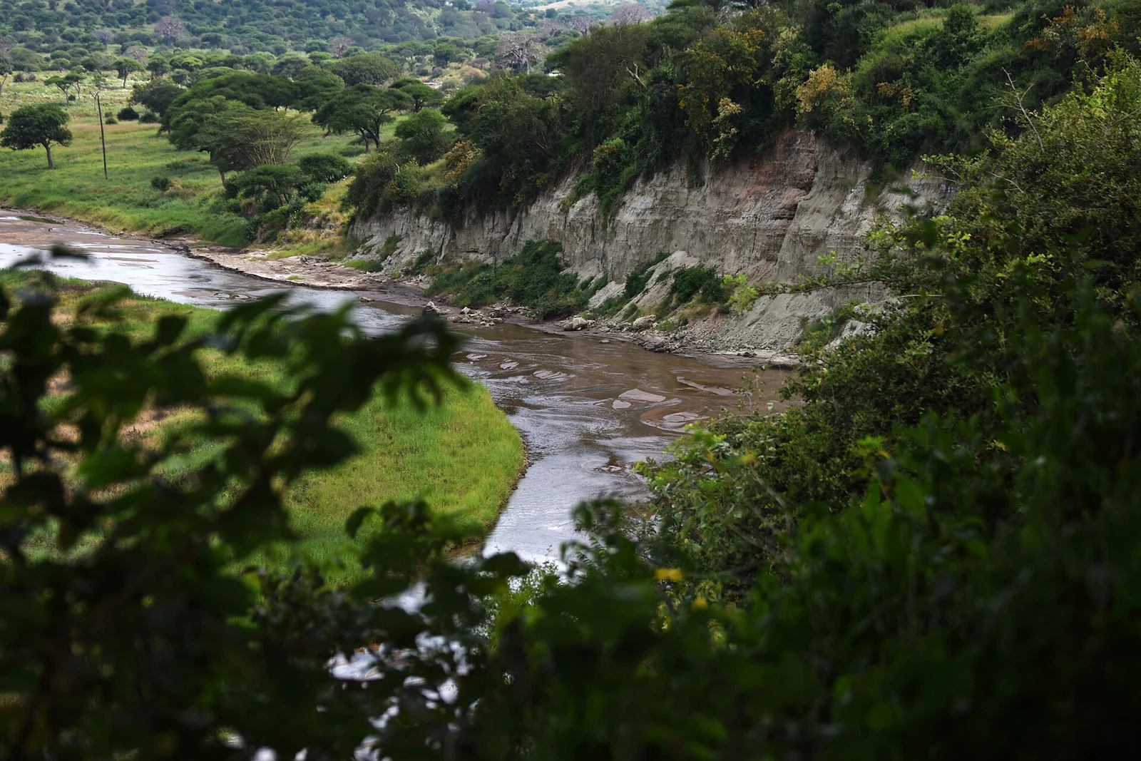 Wooded slopes above a bend of the Tarangire River